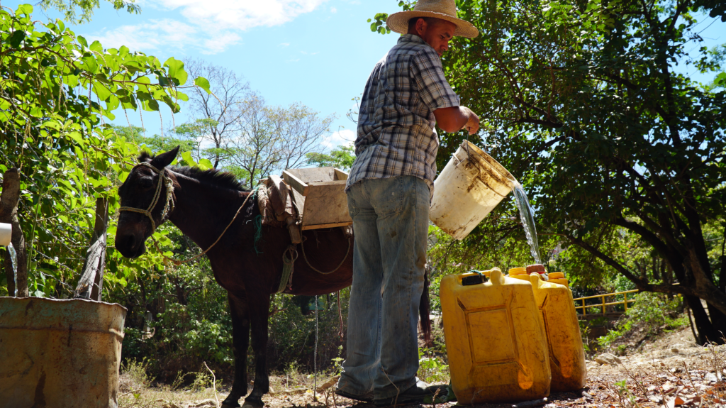 hombre echando agua en un cubo amarillo